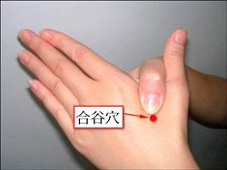 合谷穴的准确位置图