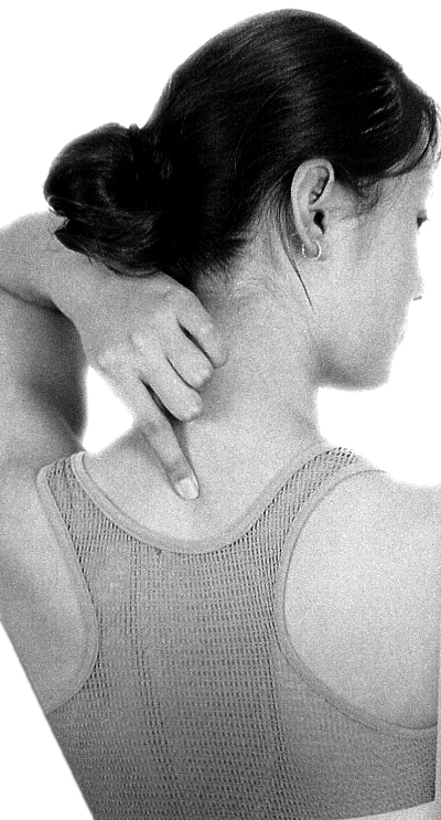 女性人体穴位图解大全【背面高清图下载】