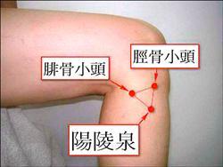 足少阳胆经穴位图