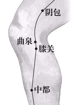 曲泉穴的准确位置图