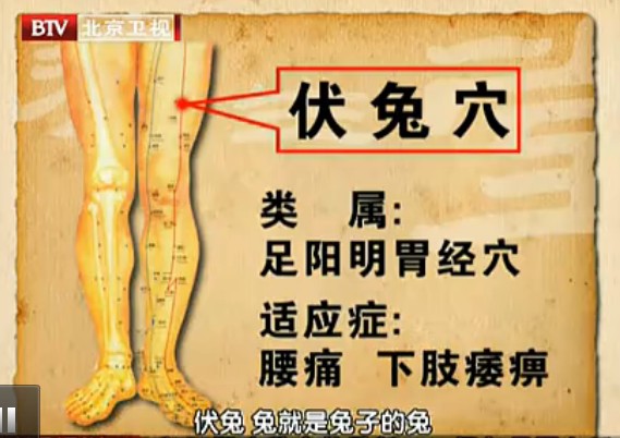 伏兔穴、承泣穴的位置与作用