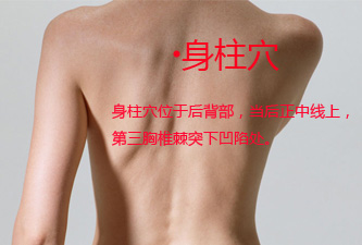 女性人体穴位图解大全【背面高清图下载】