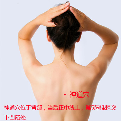 女性人体穴位图解大全【背面高清图下载】