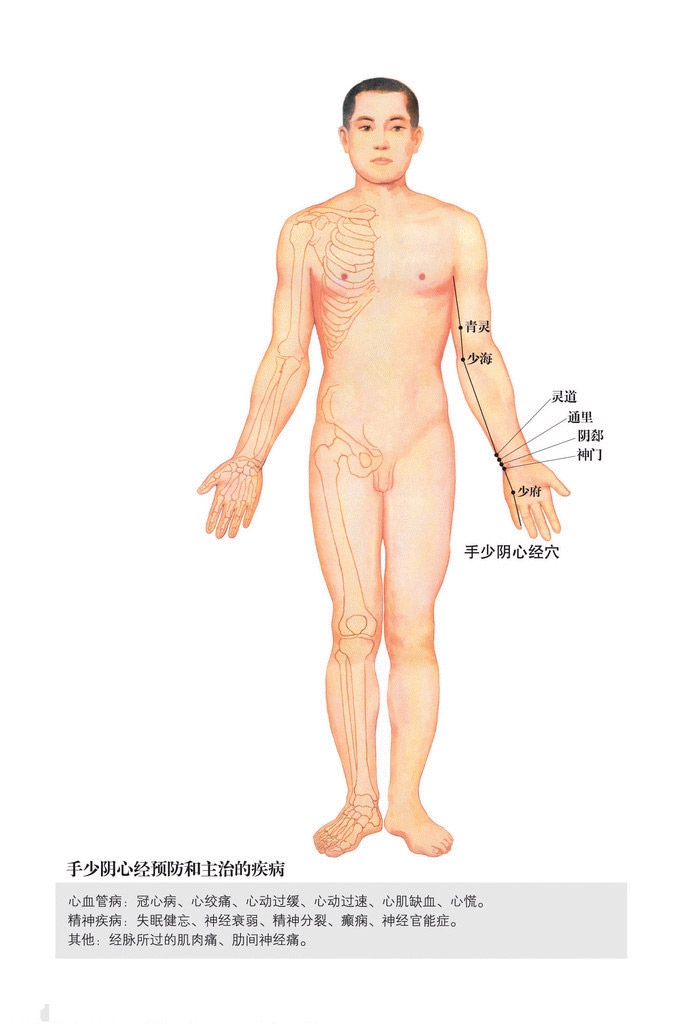 男性人体穴位图：十四经穴高清图解