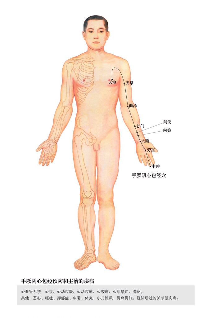 男性人体穴位图：十四经穴高清图解