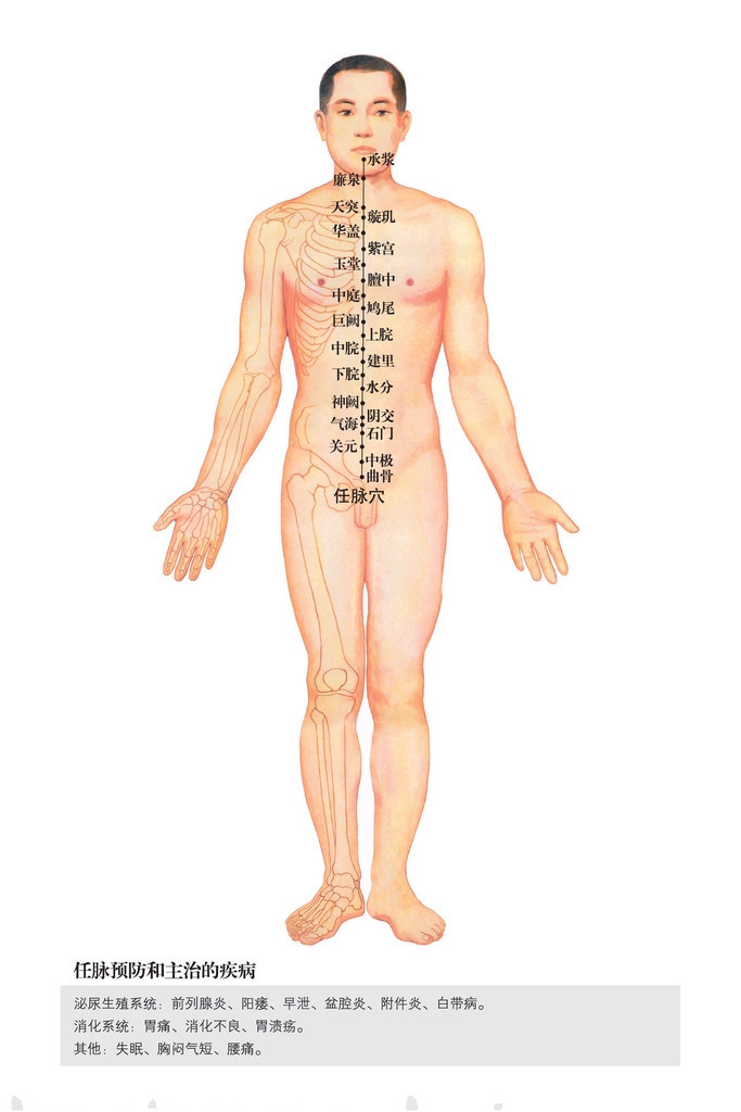 男性人体穴位图：十四经穴高清图解