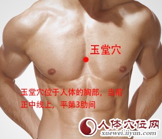 女性人体穴位图解大全【正面高清图下载】