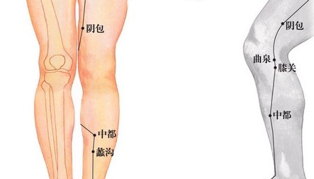 阴包穴的准确位置图