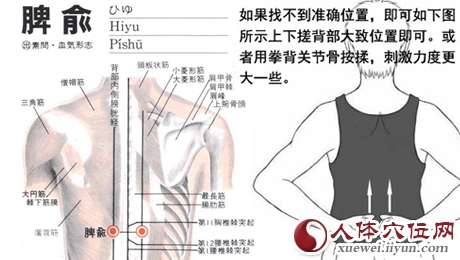 十大补气穴位 补中益气 延年益寿