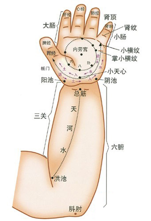 如何给宝宝穴位按摩 治疗常见病(大全)