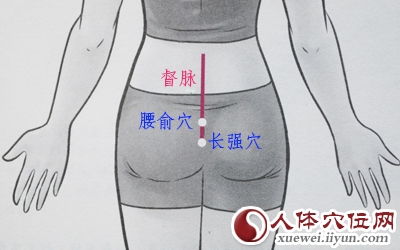 女性人体穴位图解大全【背面高清图下载】