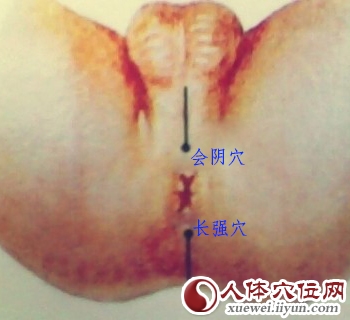 长强穴治摇头症、便秘