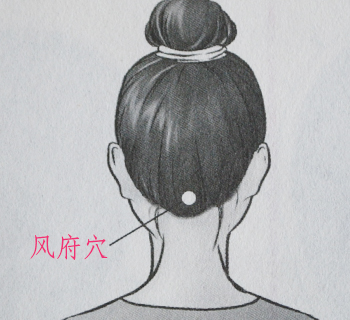 膝痛的病因和症状及风府穴治膝痛