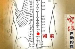 按摩肾俞穴的作用和方法及肾的功能讲解