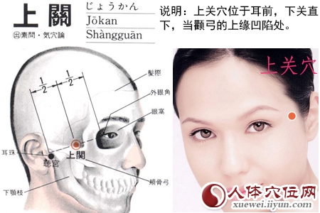 足少阳胆经穴位图