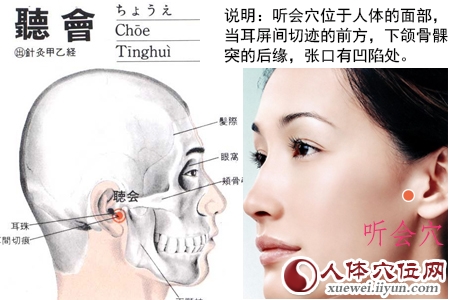 足少阳胆经穴位图