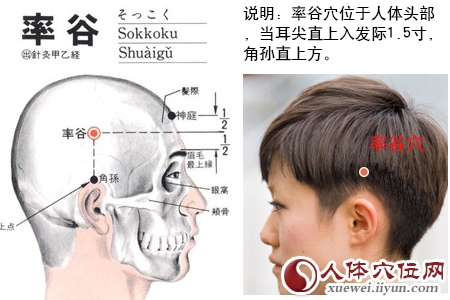 足少阳胆经穴位图