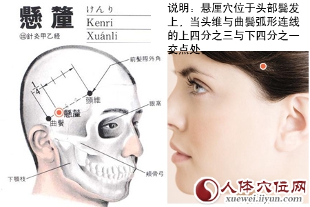 足少阳胆经穴位图