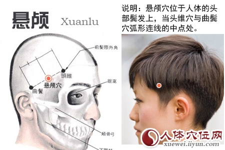 足少阳胆经穴位图