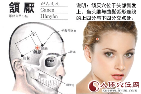 足少阳胆经穴位图