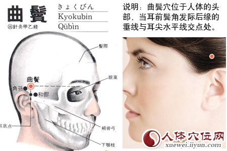 足少阳胆经穴位图