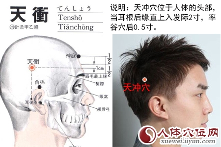 足少阳胆经穴位图