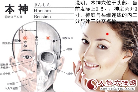 足少阳胆经穴位图