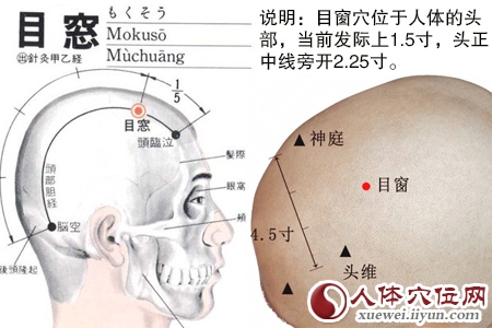 足少阳胆经穴位图
