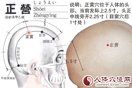 足少阳胆经穴位图