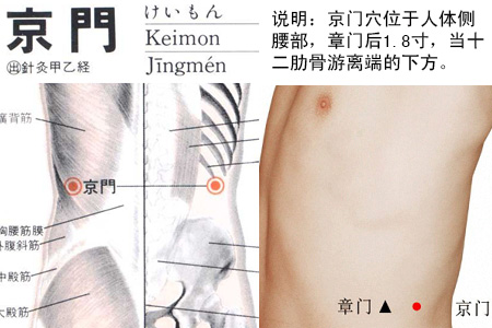 足少阳胆经穴位图