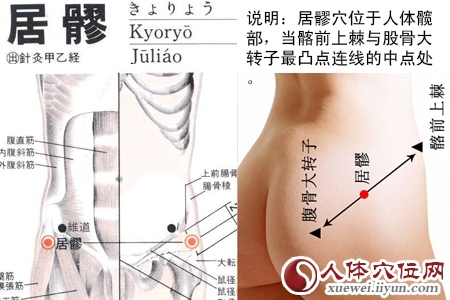 足少阳胆经穴位图