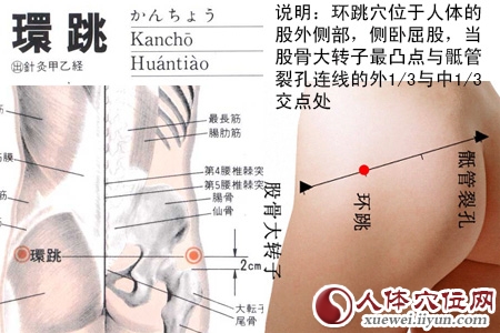 足少阳胆经穴位图