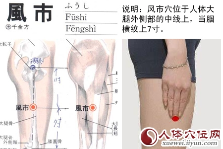 足少阳胆经穴位图