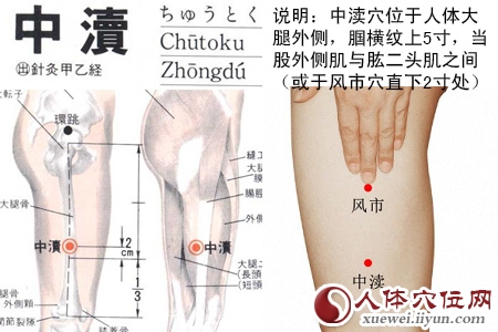 足少阳胆经穴位图