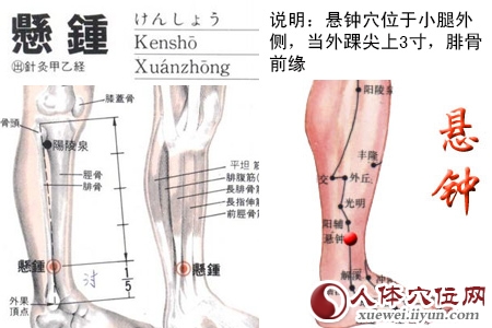 十大补气穴位 补中益气 延年益寿
