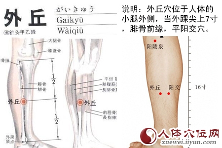 足少阳胆经穴位图