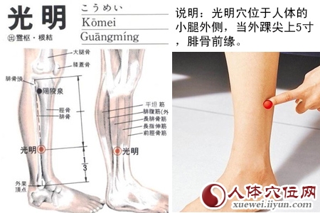 足少阳胆经穴位图