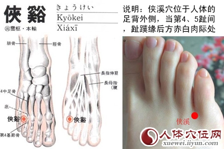 足少阳胆经穴位图