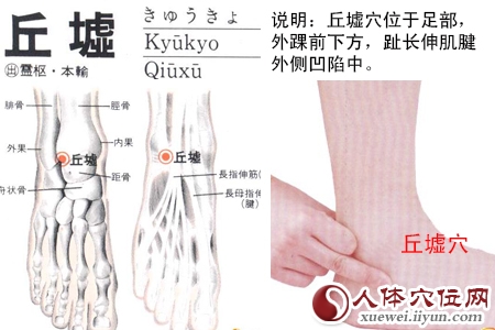 足少阳胆经穴位图