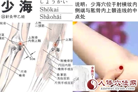 少海穴的准确位置图