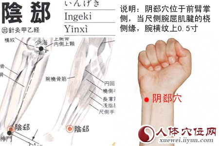阴郄穴的准确位置图