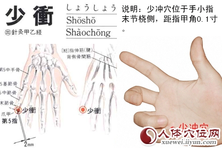 少冲穴的准确位置图