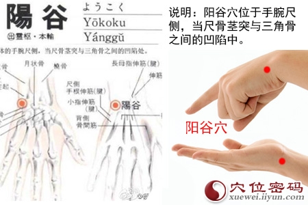 缓解治疗牙齿疼痛的特效穴位【按摩手法】和偏方