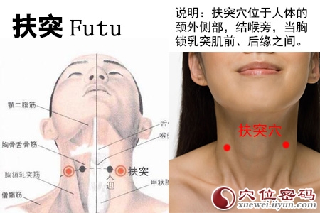 扶突穴的准确位置图