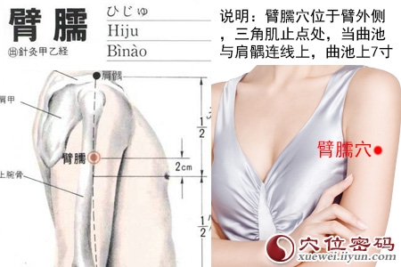 臂臑穴的准确位置图