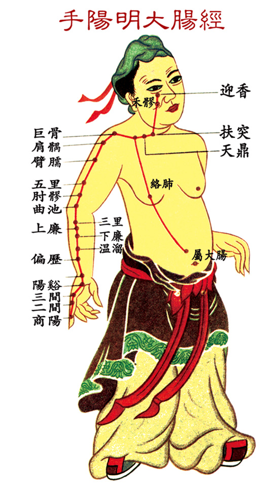 十二经络走向图 穴位养生调理【视频】