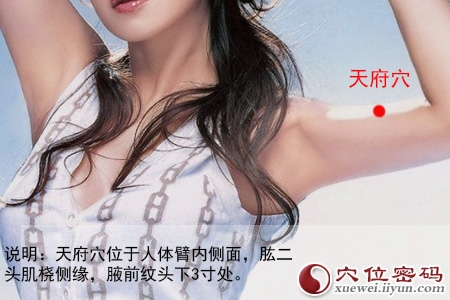 天府穴的准确位置图 天府穴的准确位置图