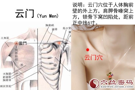 云门穴的准确位置图