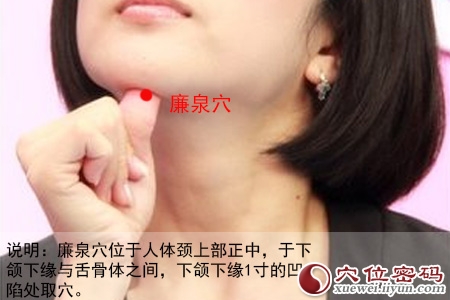 女性人体穴位图解大全【正面高清图下载】