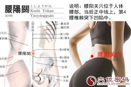 女性人体穴位图解大全【背面高清图下载】